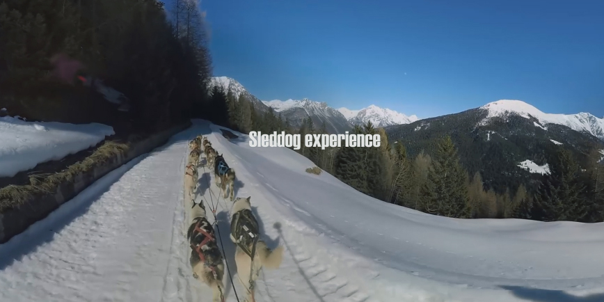 sleddog travel experience inlombardia