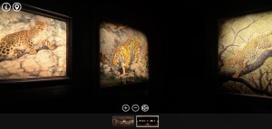 Esposizione virtuale gigapixel "Fierce and Fragile", realizzata per Hermes